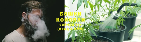 ешки Арсеньев