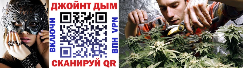 где найти   Хасавюрт  Бошки Шишки конопля 